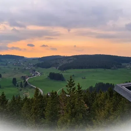 Fox'n - Clevere Mit Pool Schluchsee