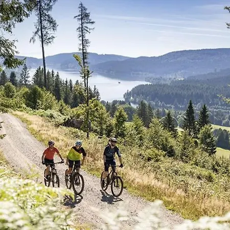 Fox'n - Clevere Mit Pool * Schluchsee