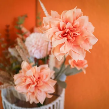 Fox'n - Clevere Mit Pool *