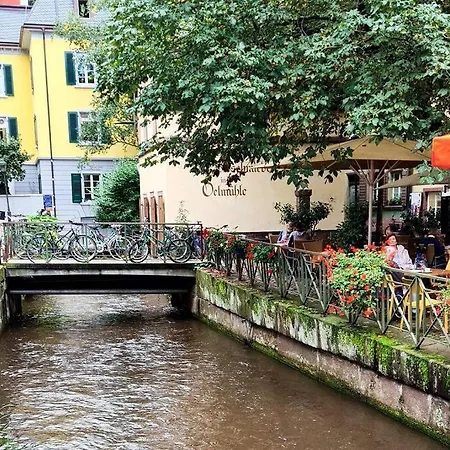 Fox'n - Clevere Mit Pool