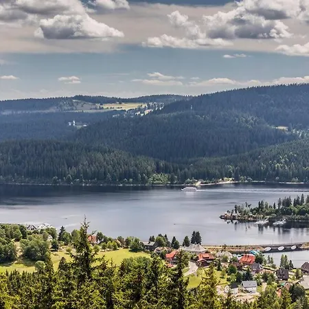 Fox'n - Clevere Mit Pool